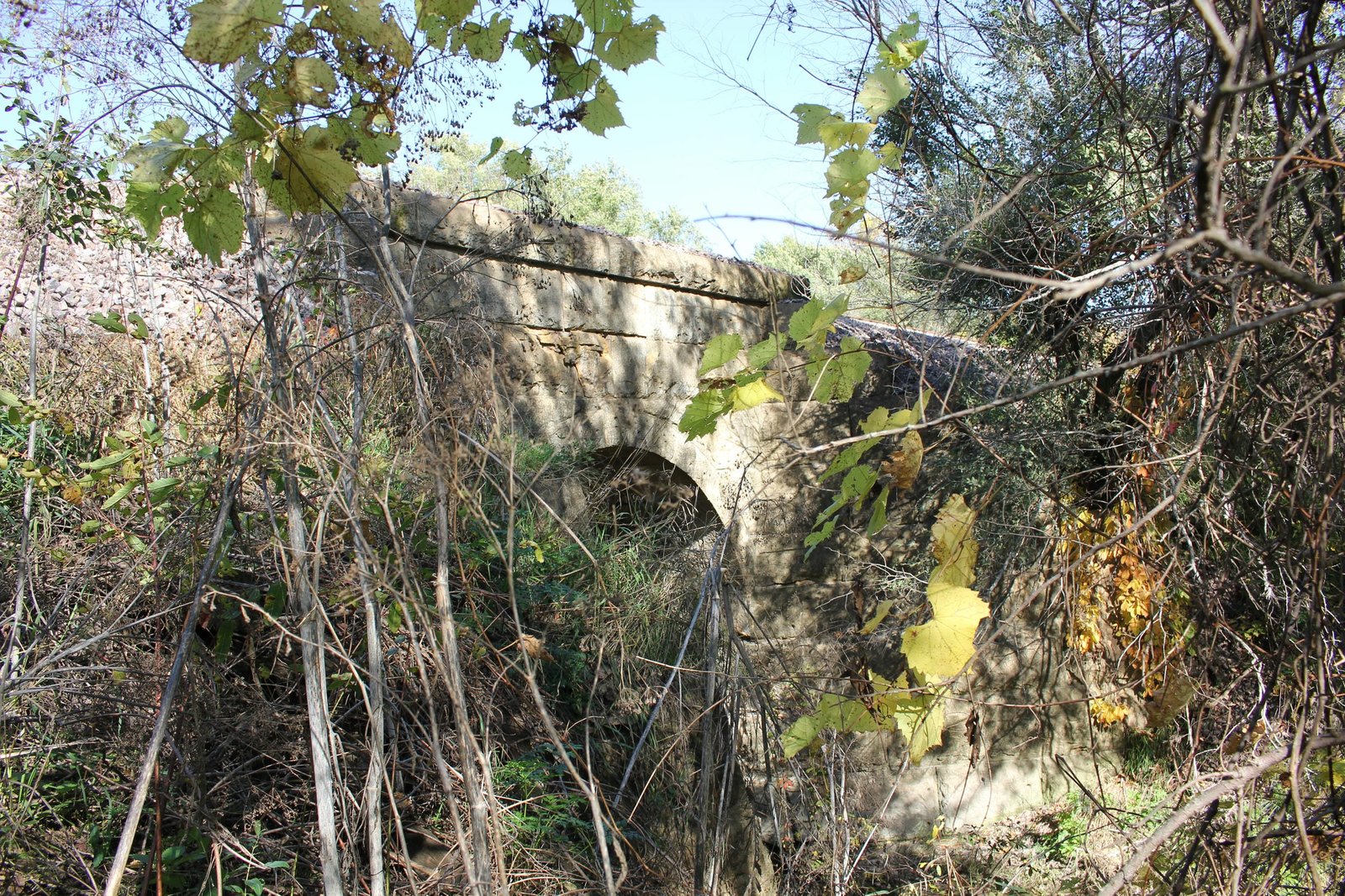 Overview